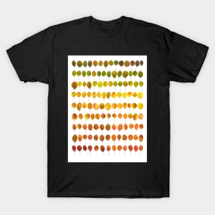 Colours of Autumn T-Shirt